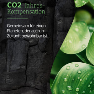 11 Tonnen  CO2-Jahreskompensation